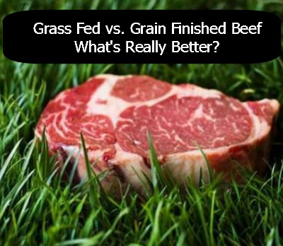 Is Grass Fed Beef Really Better for You? - Clover Meadows Beef