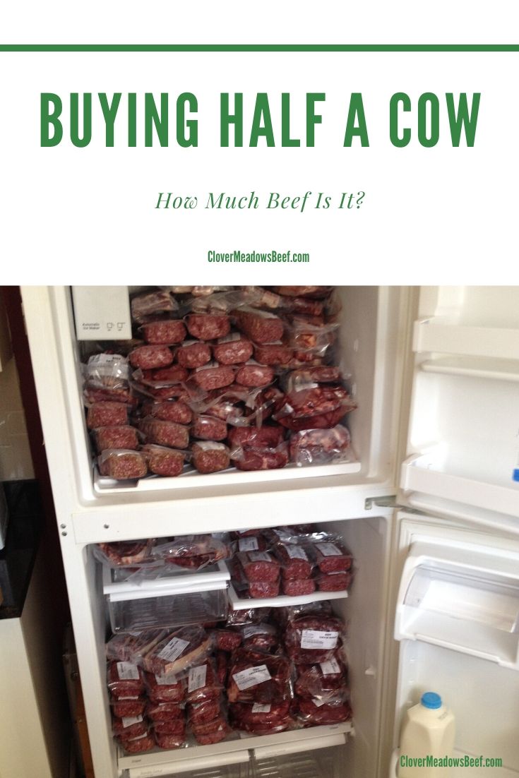 Buying Half a Cow - Clover Meadows Beef Grass Fed Beef St Louis STL pin 1