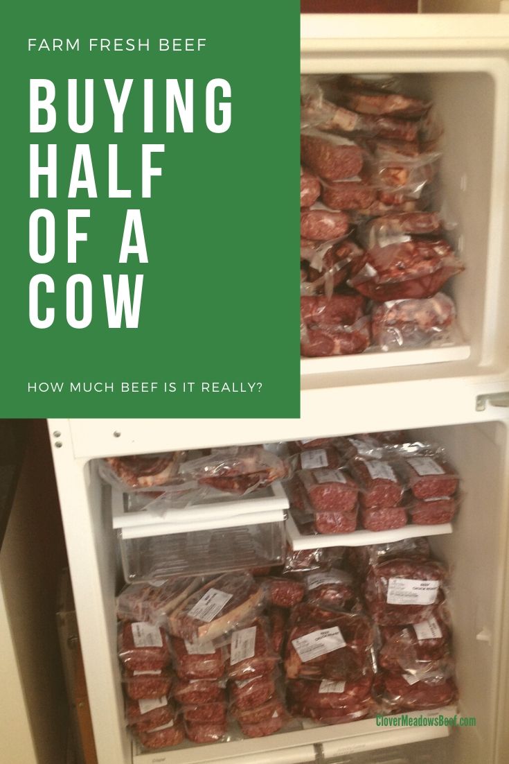 How Much Does 1 2 Beef Cost Beef Poster