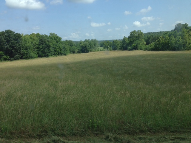 Before a Field is Cut - Clover Meadows Beef Grass Fed Beef - St Louis Missouri