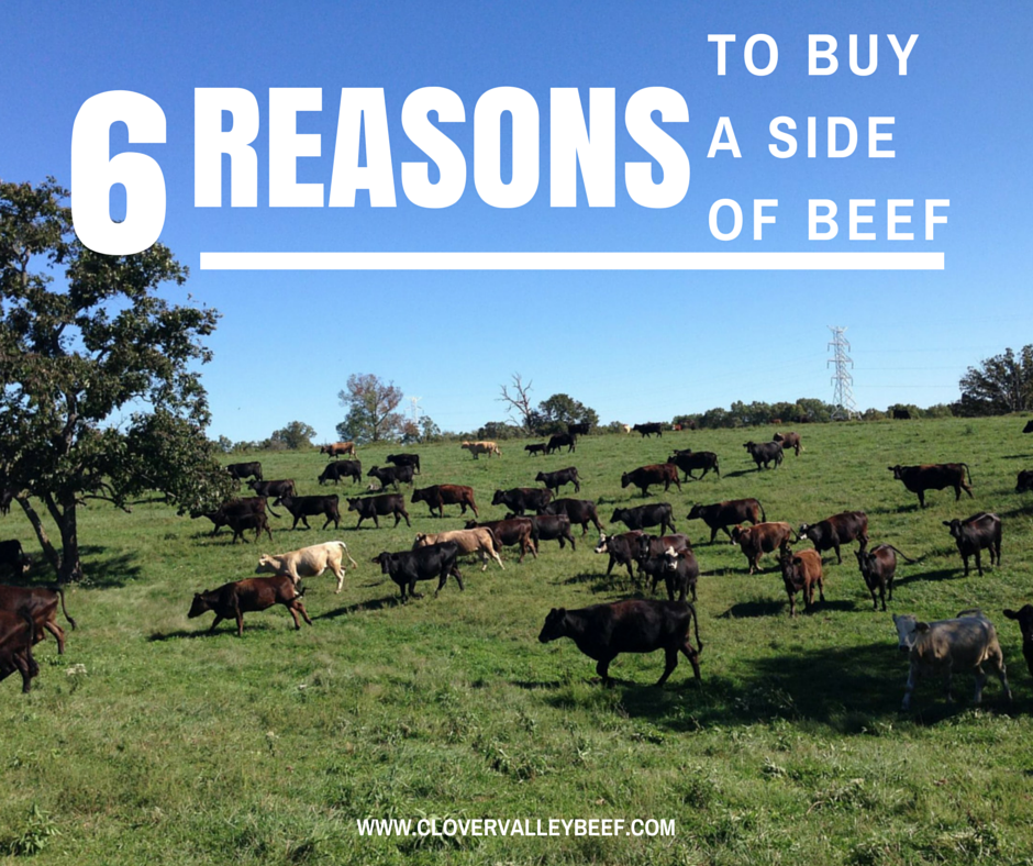 6 Reasons You Should Buy a Side of Beef Clover Meadows Beef