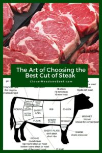 Choosing Best Cut of Steak - Clover Meadows Beef Grass Fed Beef St Louis