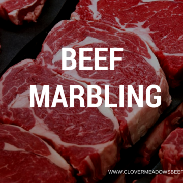 beef marbling