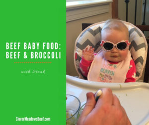 Beef Baby Food - Beef and Broccoli - Grass Fed Beef St Louis Clover Meadows Beef