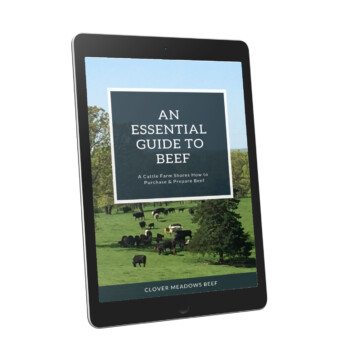 ebook An Essential Guide to Beef