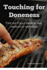 Steak Doneness. Touch Test Finger Test and Digital Meat Thermometer Testing Steak Temperature