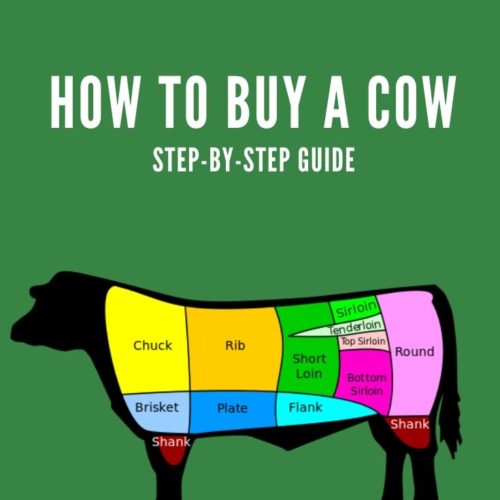 Dry Rub Marinade for Steak. Learn What is Best. Clover Meadows Beef