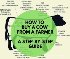 How to buy a cow from a farmer - clover meadows beef grass fed beef saint louis missouri
