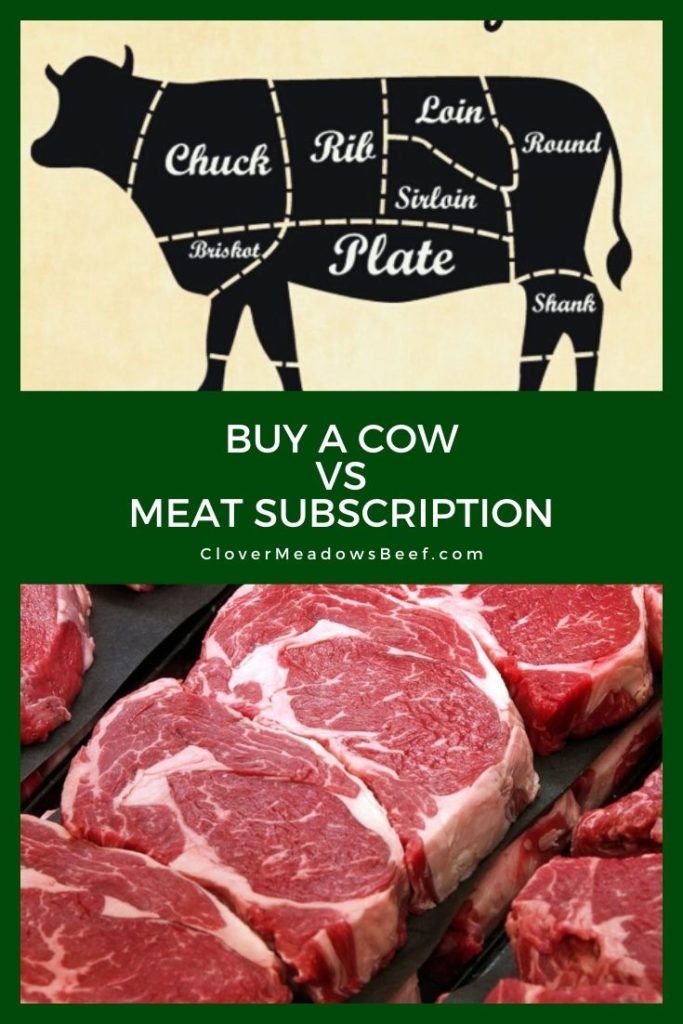 Buying a Cow vs Meat Subscription delivery service - Clover Meadows Beef Grass Fed Beef 