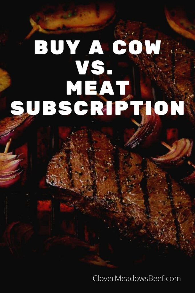Buying a Cow vs Meat Subscription delivery service - Clover Meadows Beef Grass Fed Beef 