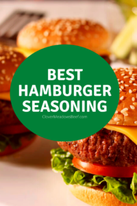 hamburger seasoning recipe