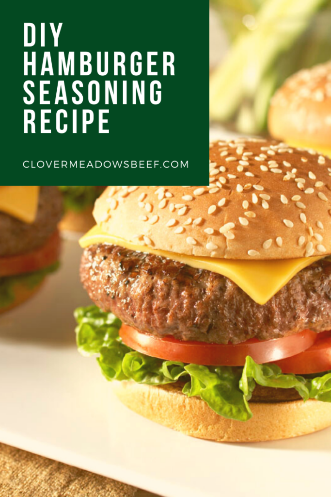 Best Hamburger Seasoning Recipe