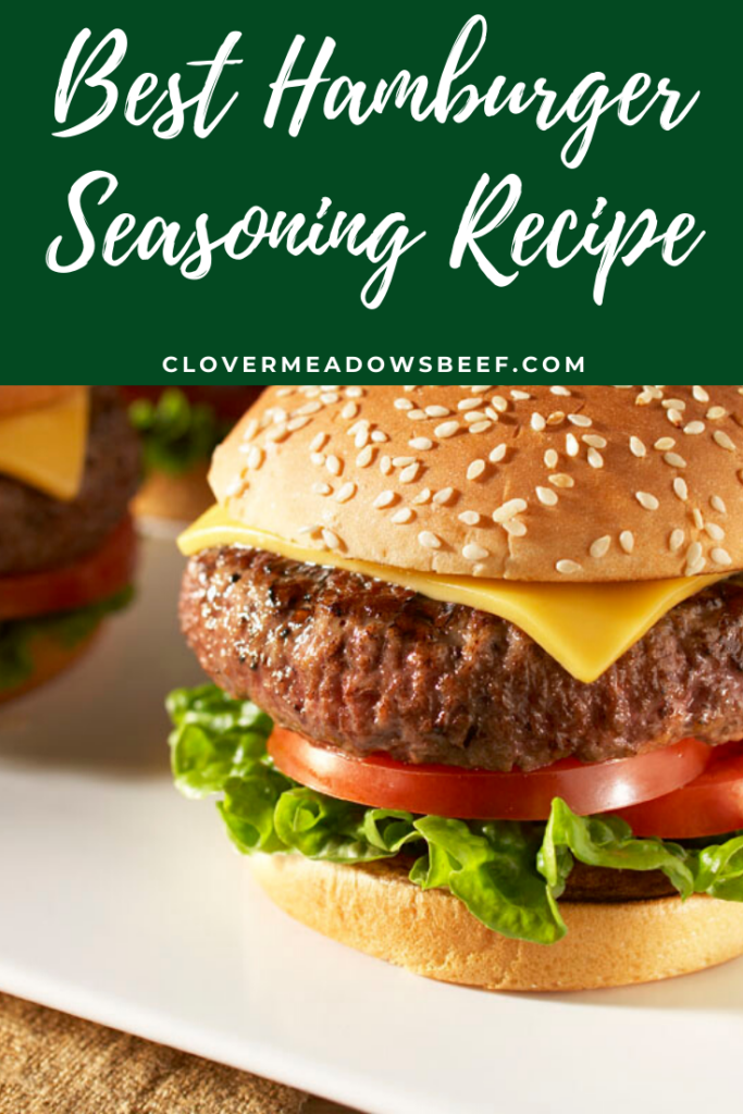 Best Hamburger Seasoning Recipe DIY