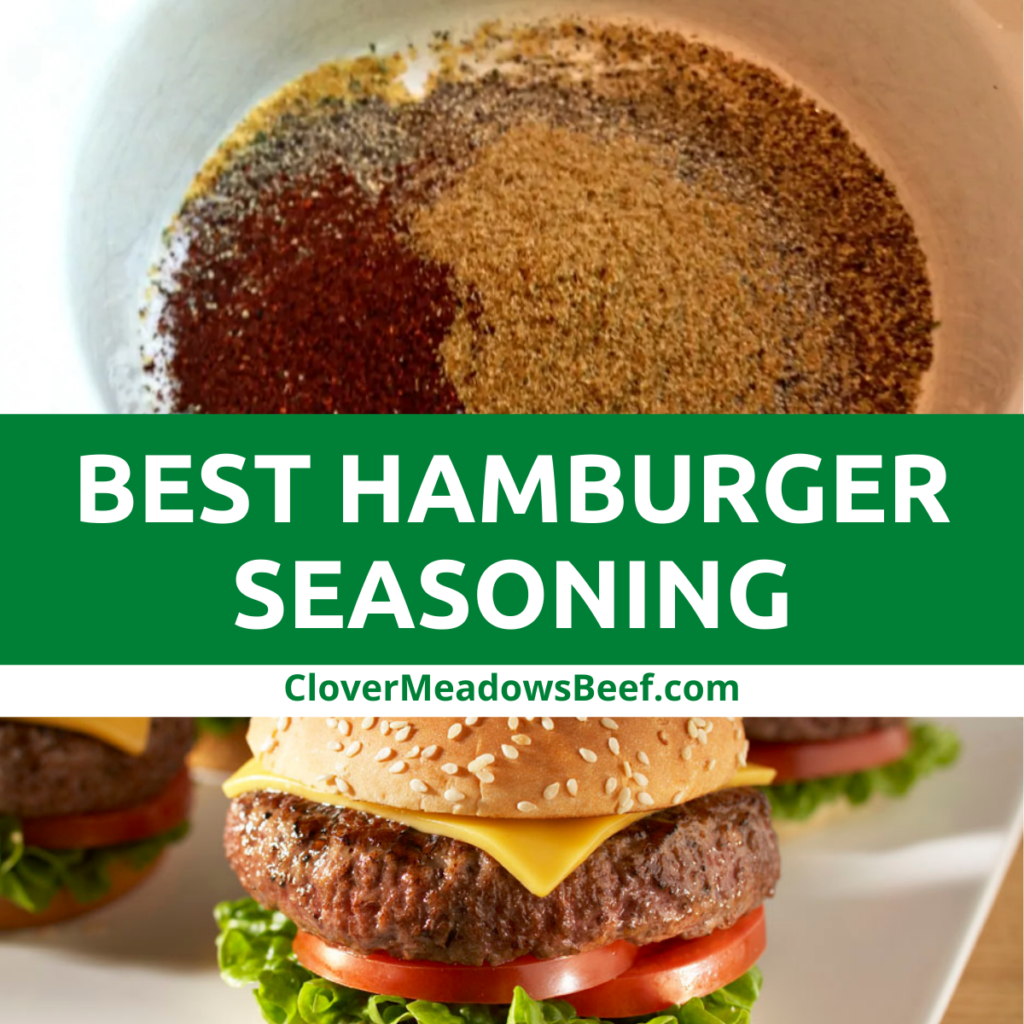 best-hamburger-seasoning-ground-beef