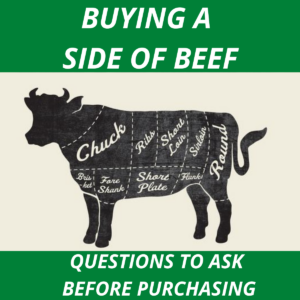 BUYING-SIDE-OF-BEEF-QUESTIONS-TO-ASK-CLOVER-MEADOWS-BEEF-GRASS-FED-BEEF-MISSOURI