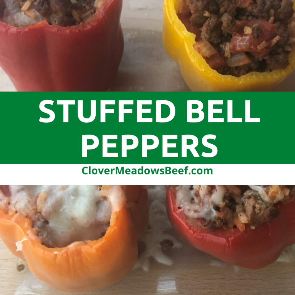 stuffed-bell-pepper-recipe-with-ground-beef-easy-classic