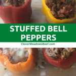 stuffed-bell-pepper-recipe-clover-meadows-beef
