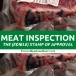 meat-inspection-usda-clover-meadows-beef-grass-fed-beef