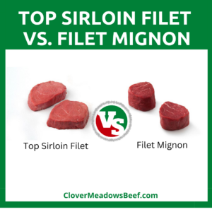 Top Sirloin Filet vs Filet Mignon Steak Guide to Best Cut