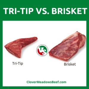 tri-tip-vs-brisket-differences-bbq-smoker-slow-cooked-cost-time-2