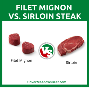 Filet-Mignon-vs-Sirloin-Steak-Differences-Pros-Cons-Affordable-Texture-Taste-Cooking